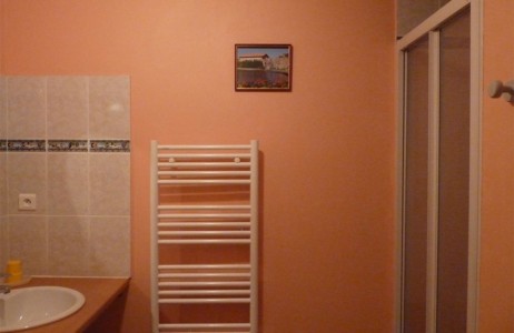 Salle d'eau avec lave linge